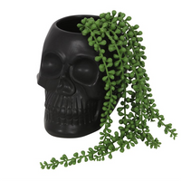 Black Skull Plant Pot