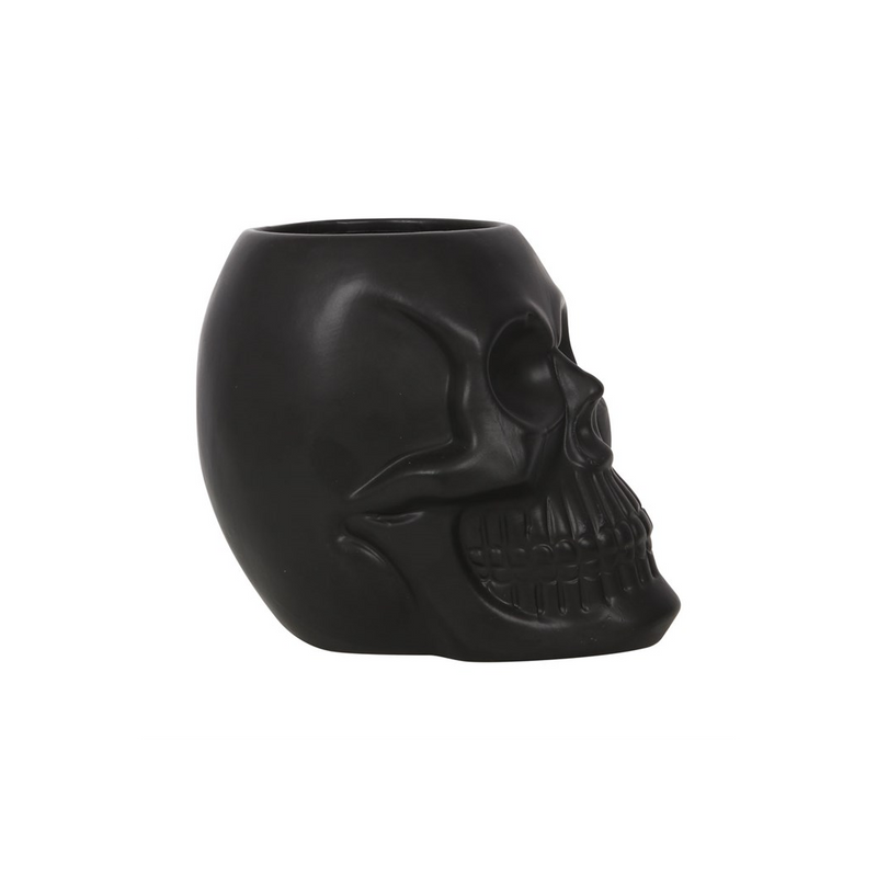 Black Skull Plant Pot